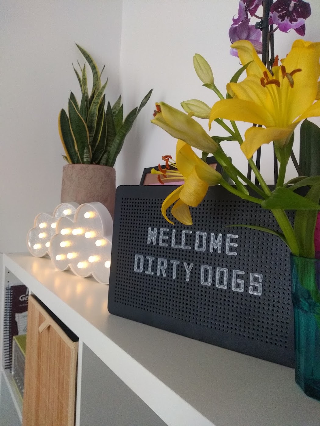Tabla Welcome dirty dogs i cveće u salonu